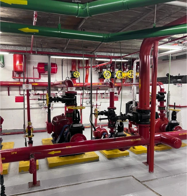 Frame 1000001980 (10)